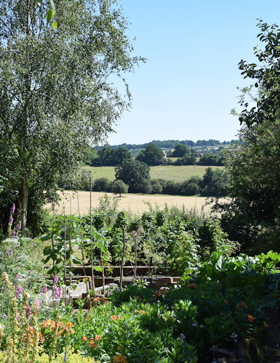 View from rear garden